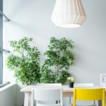 Lampe